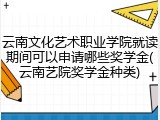 云南文化艺术职业学院就读期间可以申请哪些奖学金(云南艺院奖学金种类)
