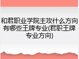 和君职业学院主攻什么方向有哪些王牌专业(君职王牌专业方向)