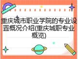 重庆城市职业学院的专业设置概况介绍(重庆城职专业概览)