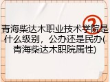 青海柴达木职业技术学院是什么级别，公办还是民办(青海柴达木职院属性)