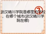 武汉晴川学院是哪里的学校，在哪个城市(武汉晴川学院在哪)