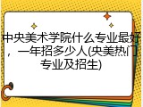 中央美术学院什么专业最好，一年招多少人(央美热门专业及招生)