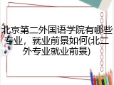 北京第二外国语学院有哪些专业，就业前景如何(北二外专业就业前景)