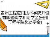 贵州工程应用技术学院开设有哪些奖学和助学金(贵州工程学院奖助学金)