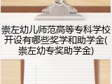 崇左幼儿师范高等专科学校开设有哪些奖学和助学金(崇左幼专奖助学金)