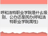 呼和浩特职业学院是什么级别，公办还是民办(呼和浩特职业学院属性)