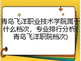青岛飞洋职业技术学院属于什么档次，专业排行分析(青岛飞洋职院档次)