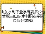 山东水利职业学院要多少分才能进(山东水利职业学院录取分数线)