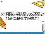 菏泽职业学院是985还是211(菏泽职业学院属性)