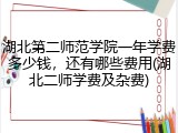 湖北第二师范学院一年学费多少钱，还有哪些费用(湖北二师学费及杂费)