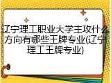 辽宁理工职业大学主攻什么方向有哪些王牌专业(辽宁理工王牌专业)