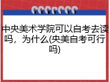 中央美术学院可以自考去读吗，为什么(央美自考可行吗)