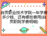 自贡职业技术学院一年学费多少钱，还有哪些费用(自贡职院学费明细)