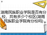 湖南民族职业学院是否有分校，共有多少个校区(湖南民族职业学院有分校吗)