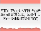 平顶山职业技术学院毕业后就业前景怎么样，毕业生去向(平顶山职院就业前景)