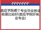 嘉应学院哪个专业毕业就业前景比较好(嘉应学院好就业专业)