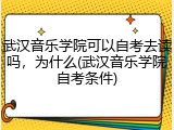 武汉音乐学院可以自考去读吗，为什么(武汉音乐学院自考条件)
