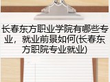 长春东方职业学院有哪些专业，就业前景如何(长春东方职院专业就业)