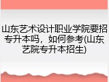 山东艺术设计职业学院要招专升本吗，如何参考(山东艺院专升本招生)