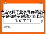 大连软件职业学院有哪些奖学金和助学金呢(大连软院奖助学金)