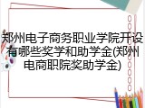 郑州电子商务职业学院开设有哪些奖学和助学金(郑州电商职院奖助学金)