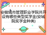 安徽城市管理职业学院共开设有哪些类型奖学金(安城院奖学金种类)