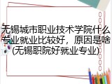 无锡城市职业技术学院什么专业就业比较好，原因是啥(无锡职院好就业专业)