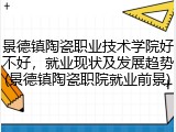 景德镇陶瓷职业技术学院好不好，就业现状及发展趋势(景德镇陶瓷职院就业前景)