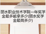 丽水职业技术学院一年奖学金最多能拿多少(丽水奖学金最高多少)