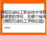 濮阳石油化工职业技术学院是哪里的学校，在哪个城市(濮阳石油化工学院位置)