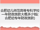 合肥幼儿师范高等专科学校一年财政拨款大概多少钱(合肥幼专年财政拨款)