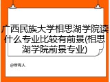广西民族大学相思湖学院读什么专业比较有前景(相思湖学院前景专业)
