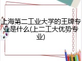 上海第二工业大学的王牌专业是什么(上二工大优势专业)