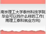 南京理工大学泰州科技学院毕业可以找什么样的工作(南理工泰科就业方向)