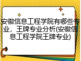 安徽信息工程学院有哪些专业，王牌专业分析(安徽信息工程学院王牌专业)