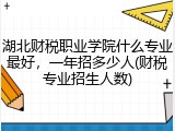 湖北财税职业学院什么专业最好,一年招多少人(财税专业招生人数)