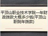 平顶山职业技术学院一年财政拨款大概多少钱(平顶山职院年拨款)