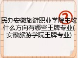 民办安徽旅游职业学院主攻什么方向有哪些王牌专业(安徽旅游学院王牌专业)