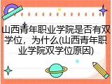 山西青年职业学院是否有双学位，为什么(山西青年职业学院双学位原因)