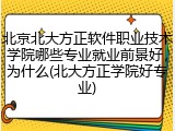 北京北大方正软件职业技术学院哪些专业就业前景好，为什么(北大方正学院好专业)