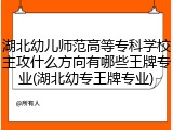 湖北幼儿师范高等专科学校主攻什么方向有哪些王牌专业(湖北幼专王牌专业)