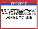 青海柴达木职业技术学院奖学金评定细则是怎样的(青海职院奖学金细则)