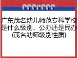 广东茂名幼儿师范专科学校是什么级别,公办还是民办(茂名幼师级别性质)