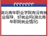 湖北青年职业学院有没有就业指导，好就业吗(湖北青年职院就业情况)