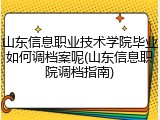 山东信息职业技术学院毕业如何调档案呢(山东信息职院调档指南)