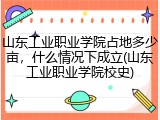 山东工业职业学院占地多少亩，什么情况下成立(山东工业职业学院校史)