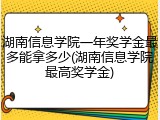 湖南信息学院一年奖学金最多能拿多少(湖南信息学院最高奖学金)