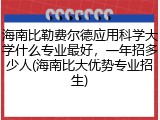 海南比勒费尔德应用科学大学什么专业最好，一年招多少人(海南比大优势专业招生)