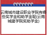 云南城市建设职业学院有哪些奖学金和助学金呢(云南城建学院奖助学金)