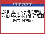 辽阳职业技术学院的普通专业和特色专业详解(辽阳职院专业解析)